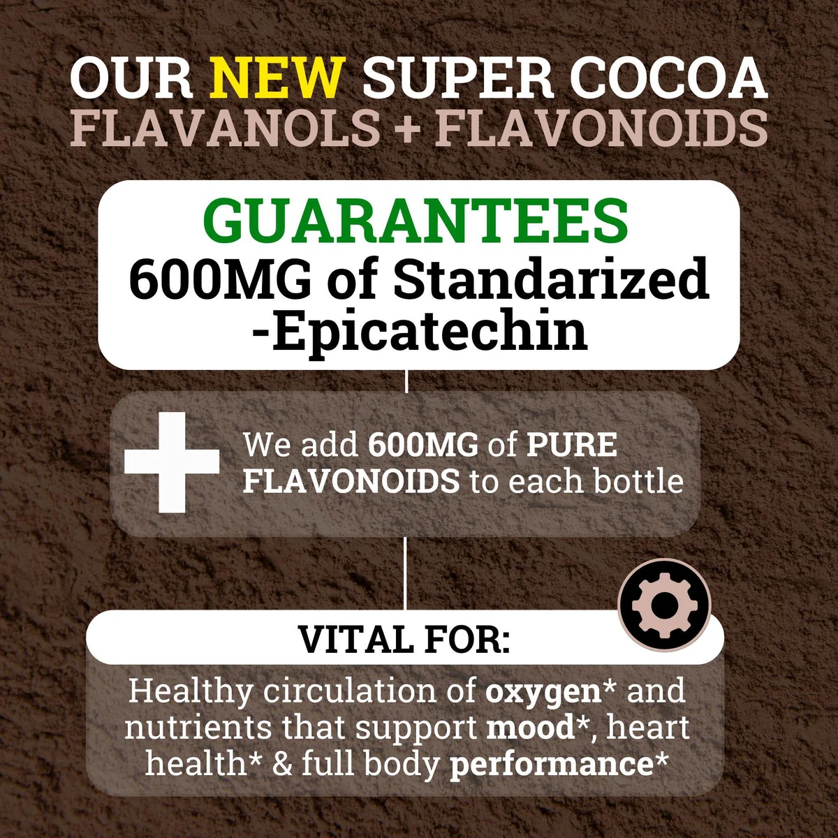 Supercharged Cocoa Flavanols + Flavonoids 1200MG 0 SUGAR & ONLY 27 CALORIES